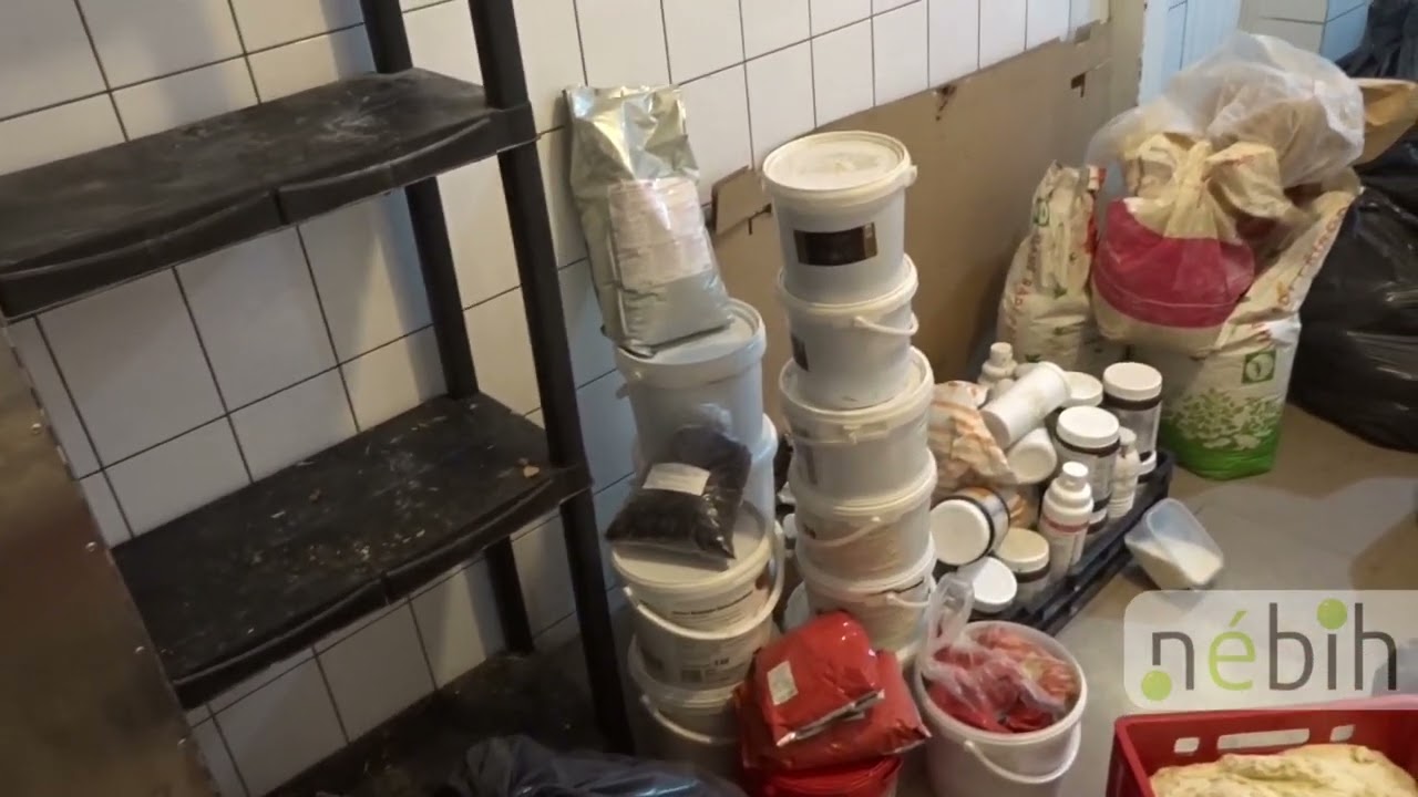 Bezáratott egy albán pékséget a NÉBIH – videóval