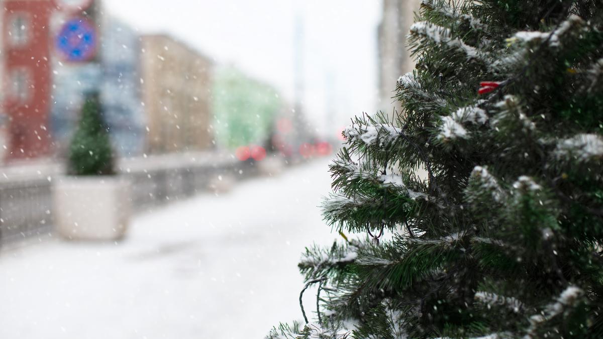 A klímaaktivisták már a karácsonyfában is ellenséget látnak