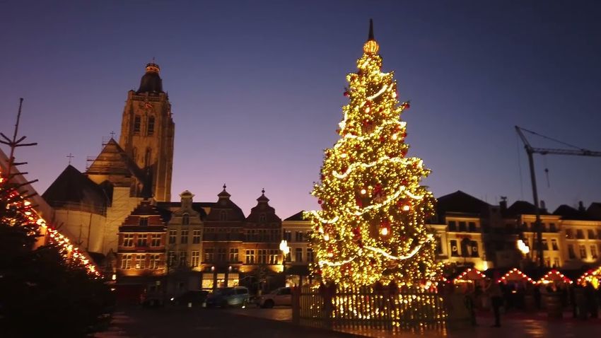 Karácsonyfa ölte meg a nőt Belgiumban
