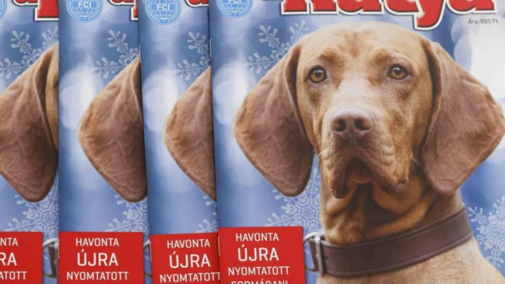 Ismét standokra kerül az A kutya magazin