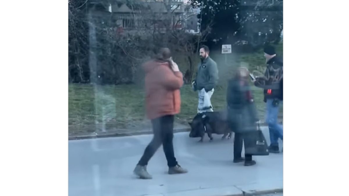 Malacot sétáltatott egy férfi Zuglóban – videóval