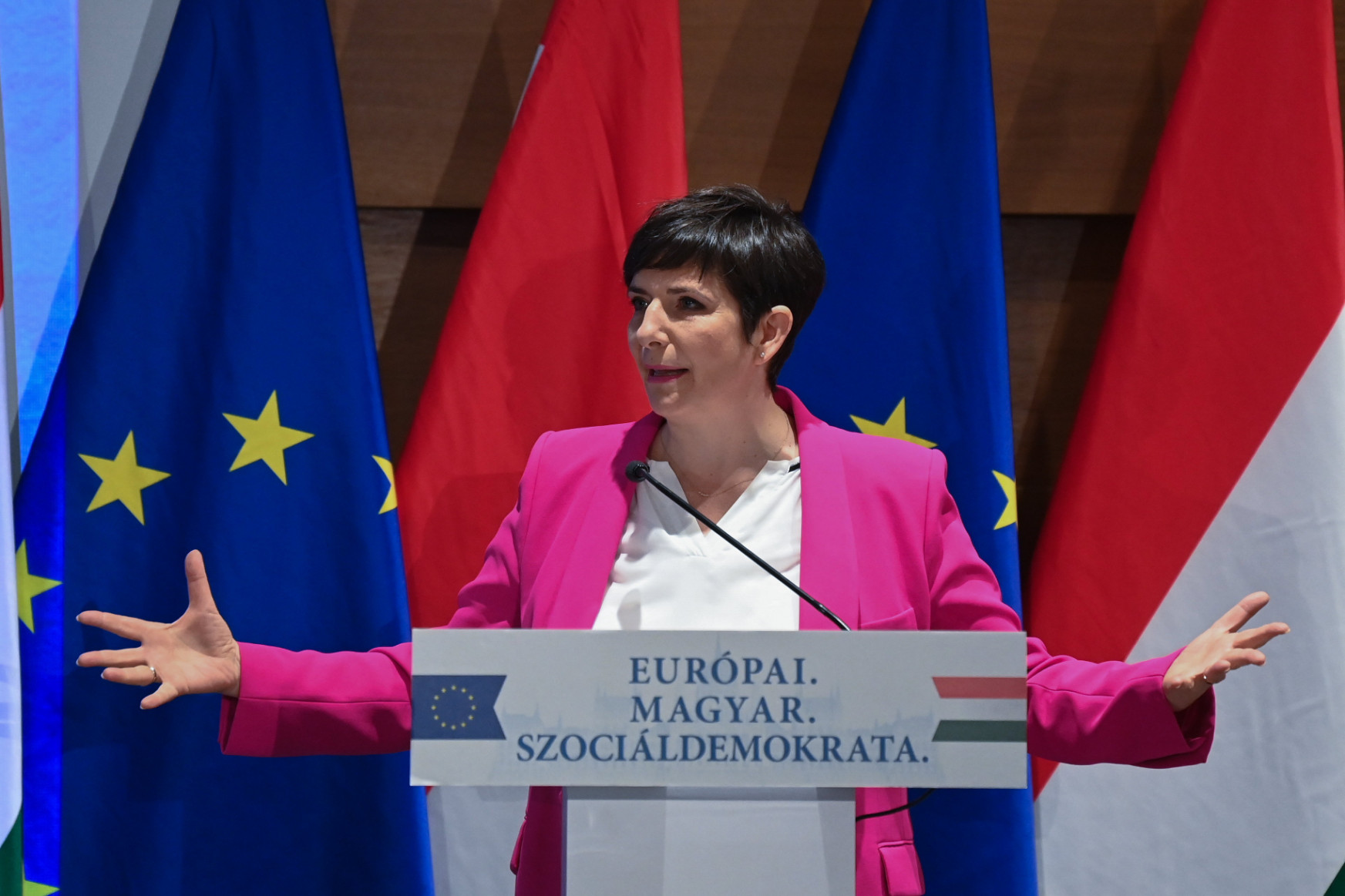 Dobrev Klára szerint közvetlenül az emberek döntsenek az új köztársasági elnökről