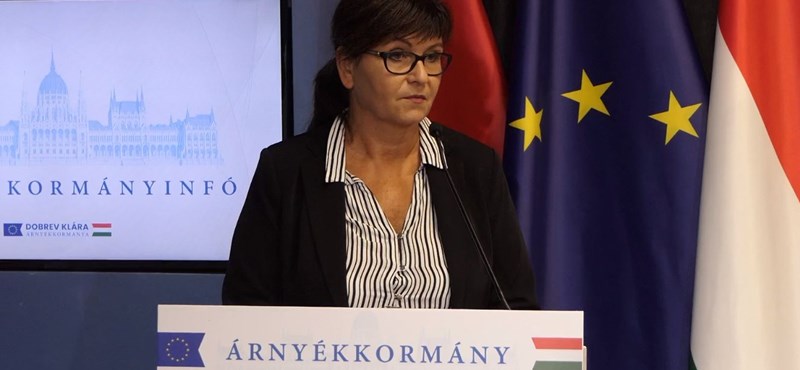 A DK kiperelné K. Endre kegyelmi döntésére vonatkozó adatokat
