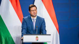 Újra kellett tanulnia járni Gulyás Gergelynek