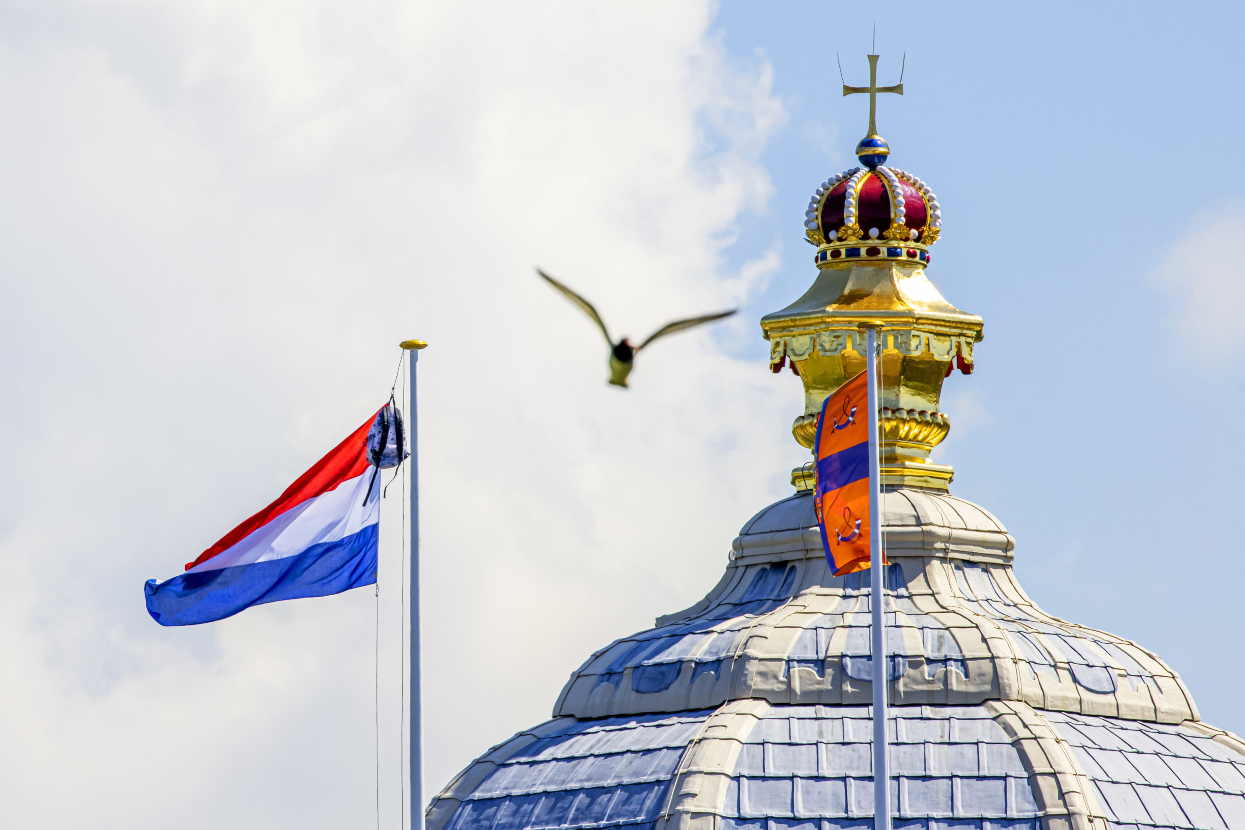 A holland kormány gendersemleges kifejezésre cserélné le az anya szót