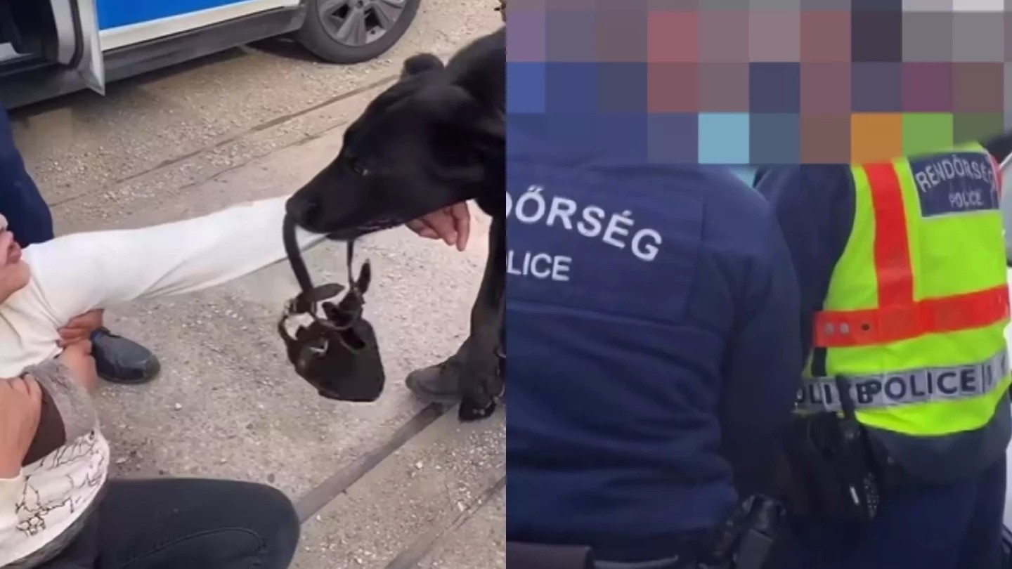 Kerepesen balhé volt, dulakodtak a rendőrökkel