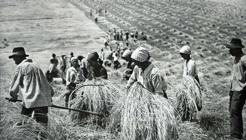 Eleink bölcsessége kánikulaidőben
