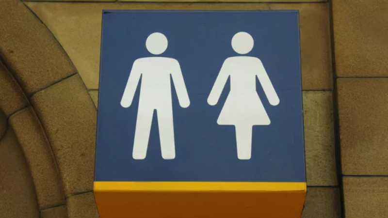 Németország augusztus 1-jétől pénzbírságot vezet be a „transzneműekkel szembeni helytelen bánásmód” miatt