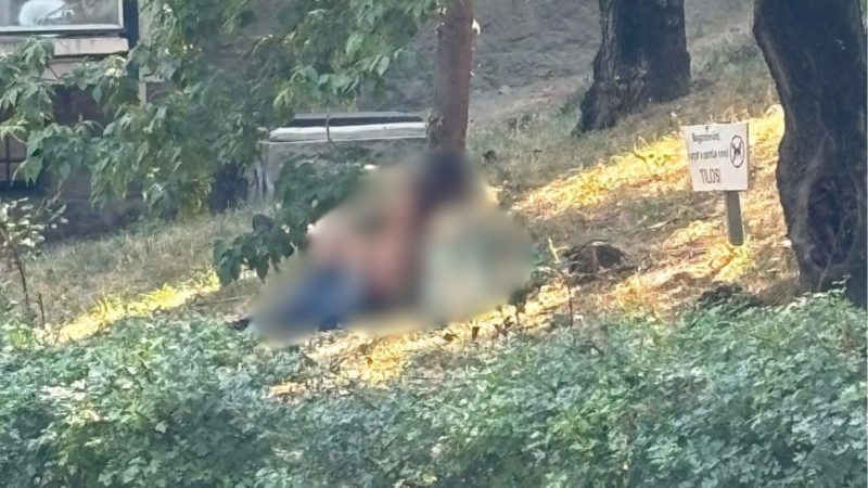 A fűben estek egymásnak a szerelmesek – a polgármester nem díjazta