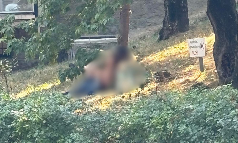 A fűben estek egymásnak a szerelmesek – a polgármester nem díjazta
