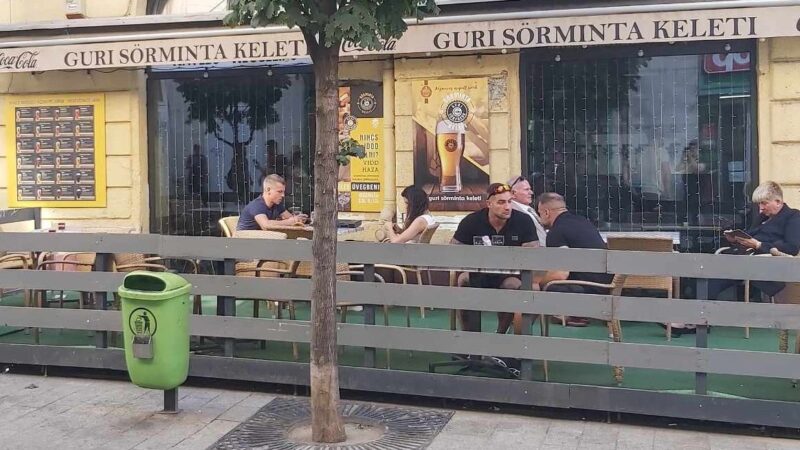 Magyarnak csak a poszt és a fizetés volt fontos, dolgozni már nem szeret