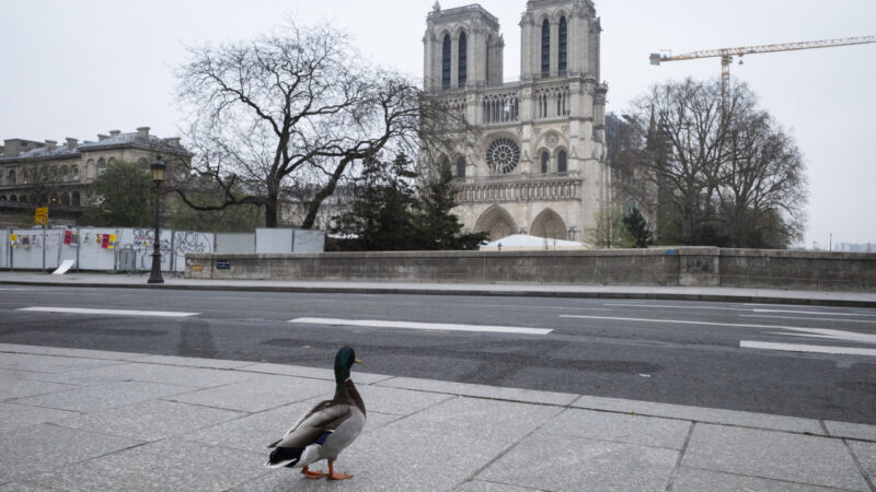 A francia kormány belépőt szedne a Notre-Dame-ba, a katolikus egyháznak nem tetszik az ötlet