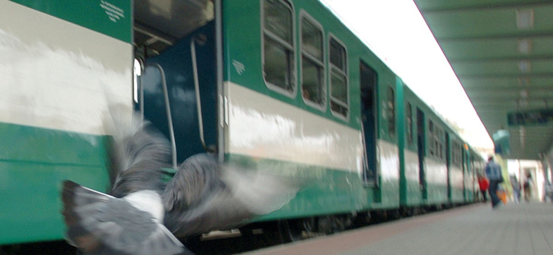 Egyre több kalauzt és járművezetőt ér támadás a MÁV-nál