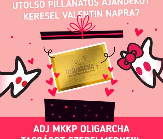 Magyar Péter után a Kutyapártos Kovács Gergely is előfizetések árusításába kezdett