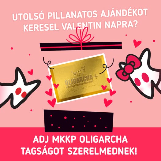 Magyar Péter után a Kutyapártos Kovács Gergely is előfizetések árusításába kezdett