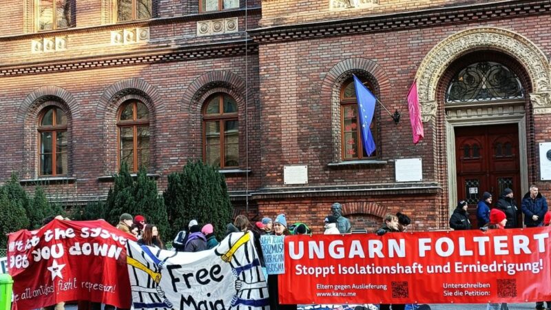 Néhány tucat külföldi antifasiszta tüntetett a Fővárosi Törvényszék előtt + Videóval