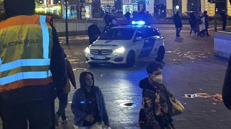 Rendőrt akart ölni az őrjöngő nő