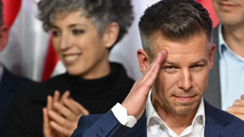 A kasszakulcs és a totális kontroll is Magyar Péter kezében van – ezt írja az alapszabályuk