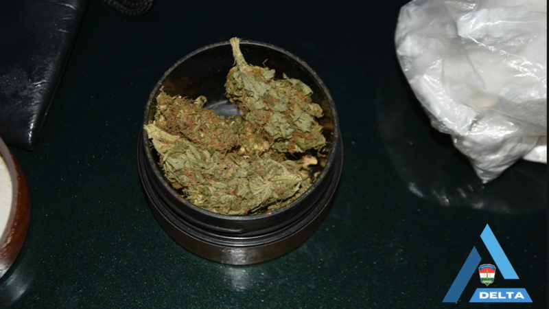 Hatalmas mennyiségű drogot foglalt le a rendőrség Gyöngyösön