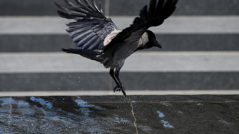 Varjútámadások miatt lezárták a ferencvárosi Ferenc teret