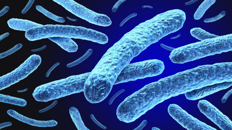 Leprás beteget diagnosztizáltak Ausztriában