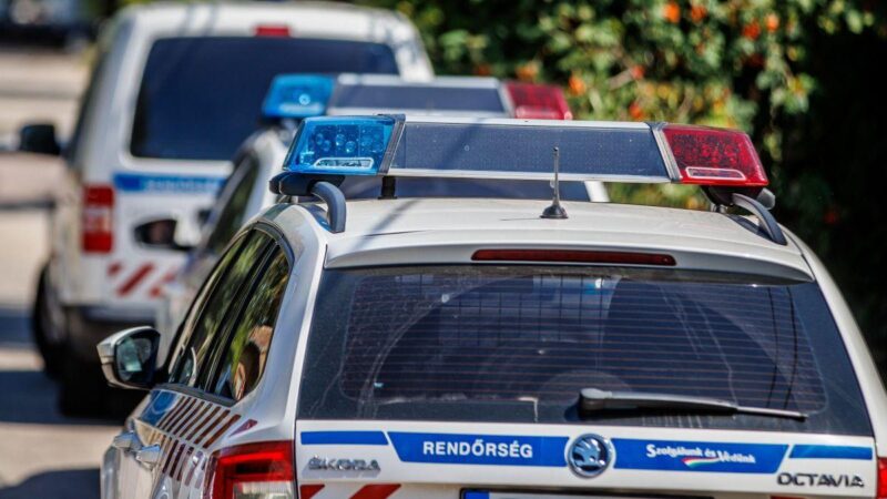 Csehországban fogtak el egy Budapestről megszökött norvég pedofilt