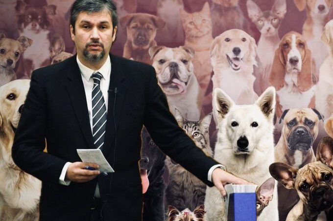 Szépen hízik Hadházy állatorvosi cége – néhány év alatt 200 %-os a gyarapodás