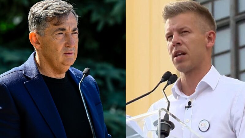 Mészáros Lőrinc vs. Magyar Péter