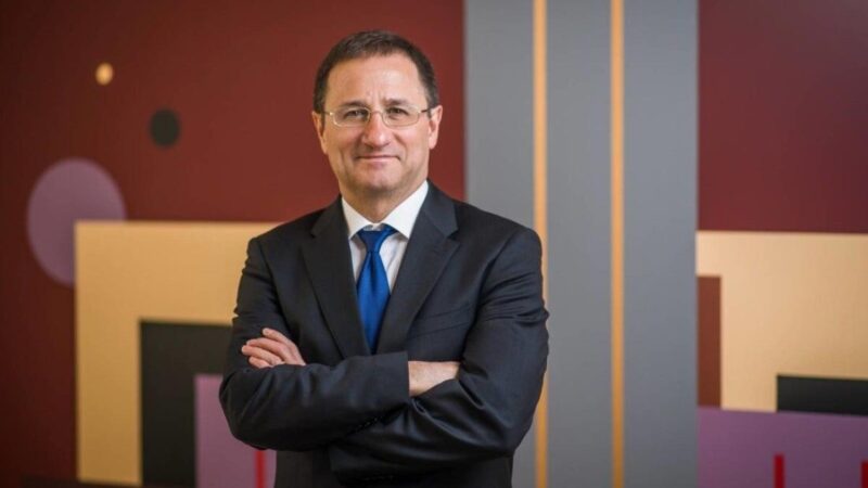 Hasít a Wallis, Bajnai Gordon pénzemberének cégcsoportja