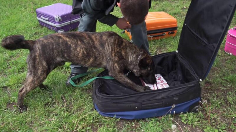 Drograzziára figyelmeztetnek a Fishing on Orfű szervezői