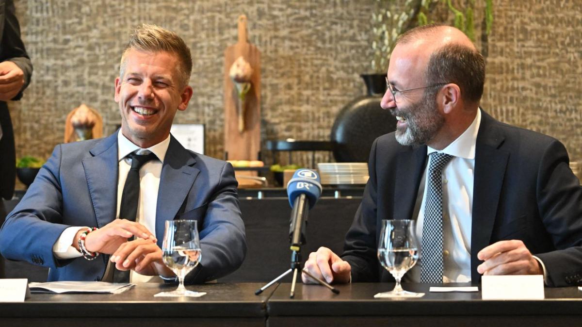 Magyar Péter a második legtöbbet hiányzó képviselő az Európai Parlamentben