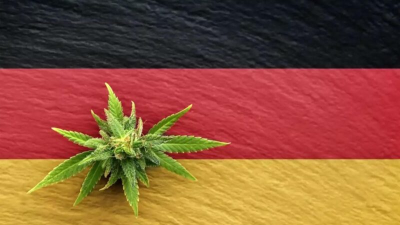 Németország elismeri, hogy hiba volt legalizálni a kannabiszt