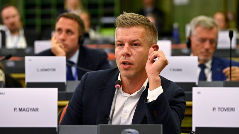 Magyar Péter ismét megcsillogtathatta színészi és rendezői képességét