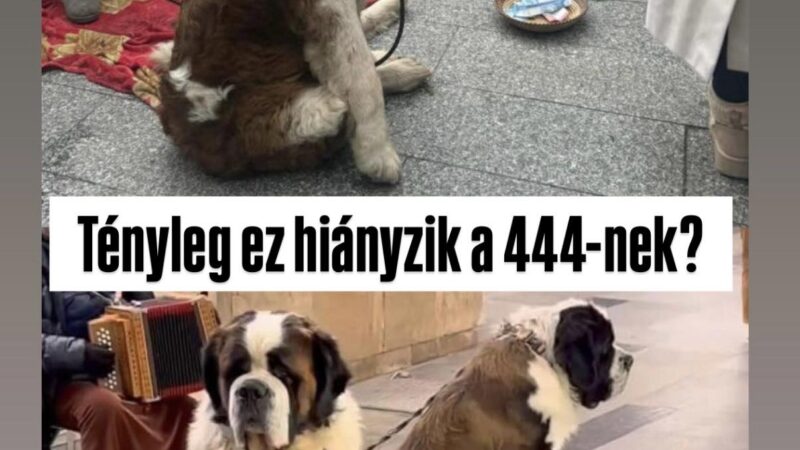 Vitézy Dávid az állatvédelmi törvény módosításáról