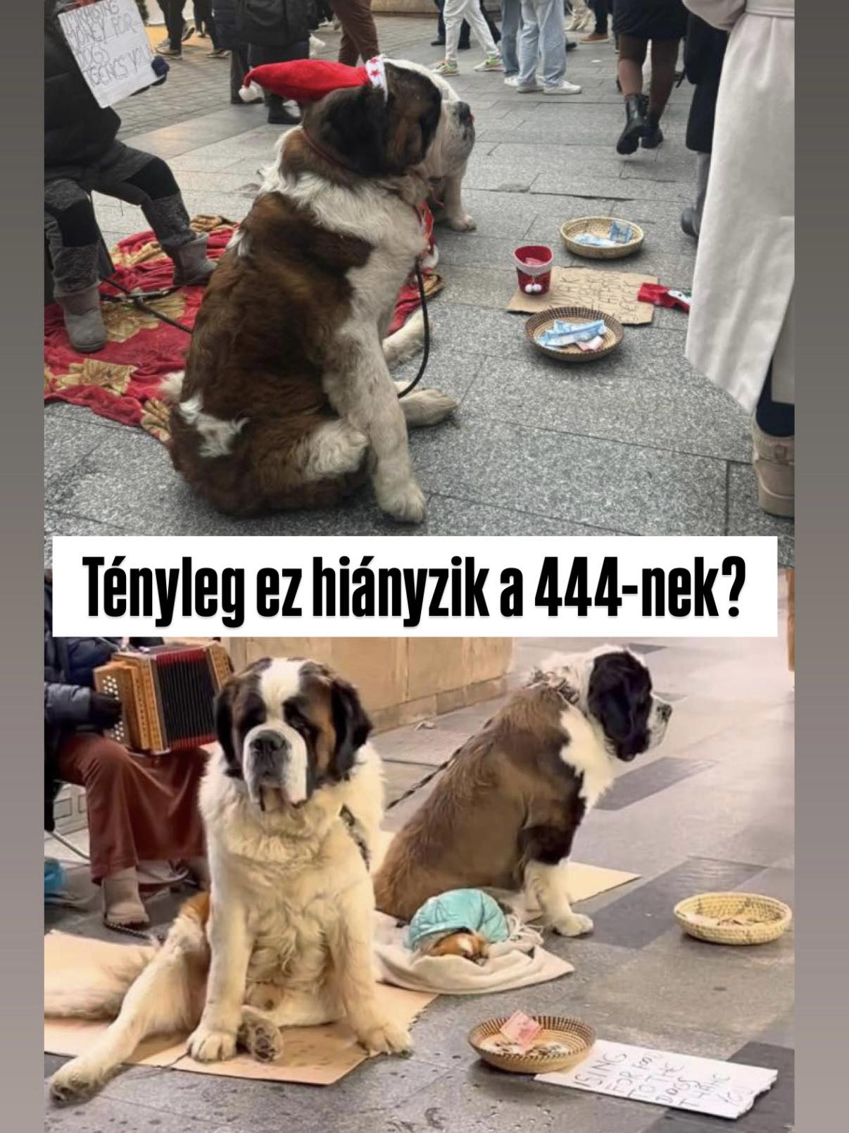 Vitézy Dávid az állatvédelmi törvény módosításáról