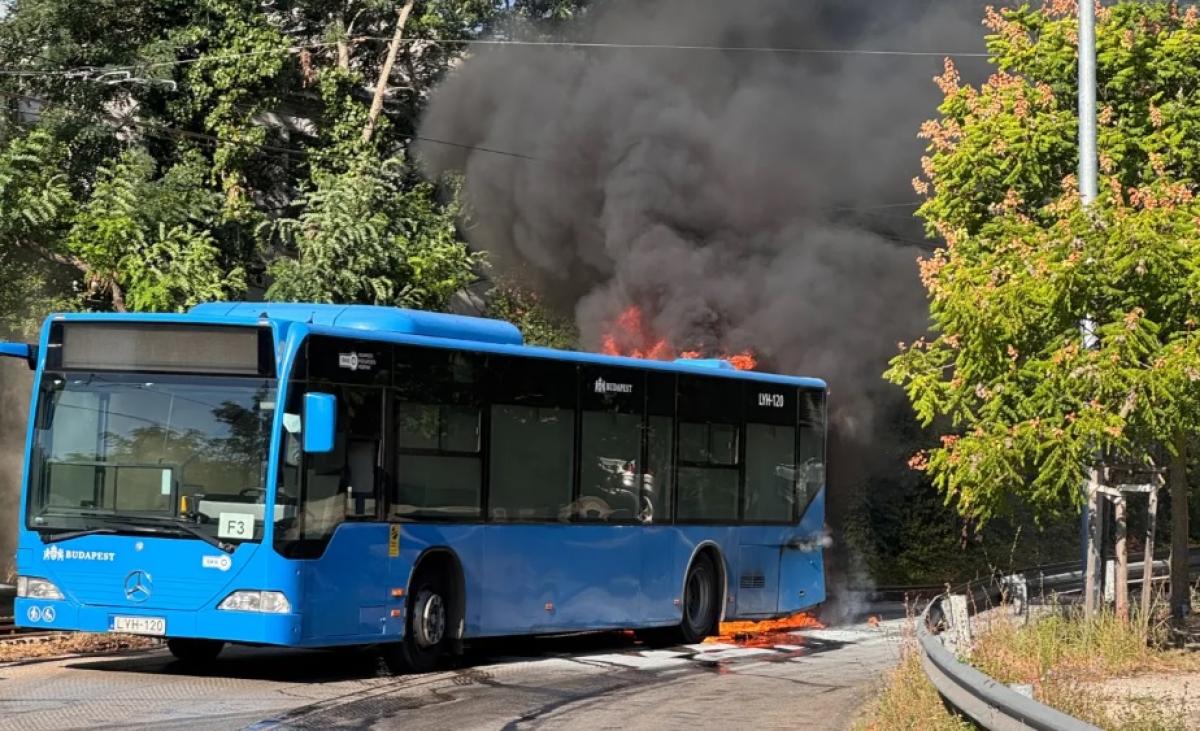 A BKV is megvizsgálta a buszait, és szerintük minden rendben van