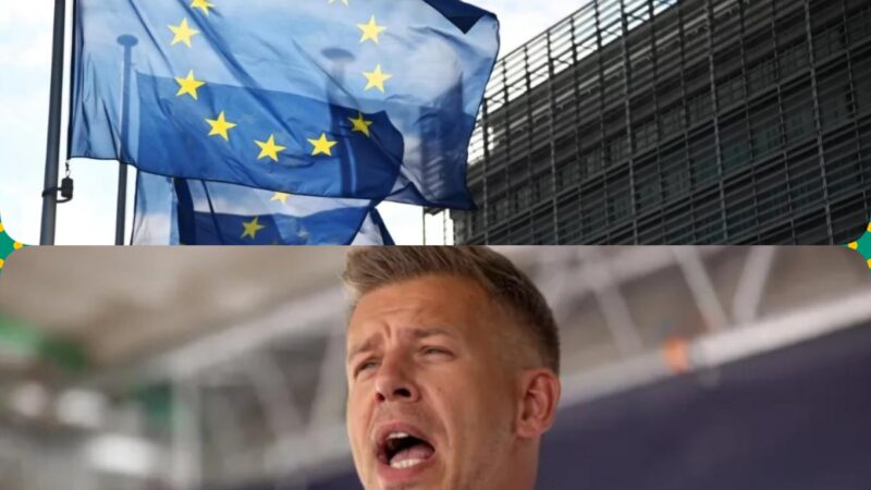 Az orosz hírszerzés szerint az Európai Bizottság hatalomváltást akar Magyarországon – Magyar Péter felszólította az orosz nagykövetet