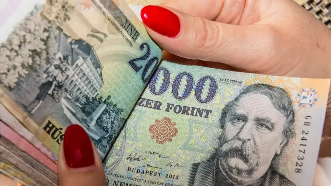 Pálinkát is elfogadtak – vesztegetési botrány robbant ki Bács-Kiskun vármegyében
