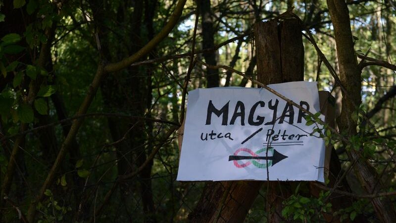 Magyar Péter Kötcsén: új alelnök, turisztikai ígéretek – és a hiányzó tömegek