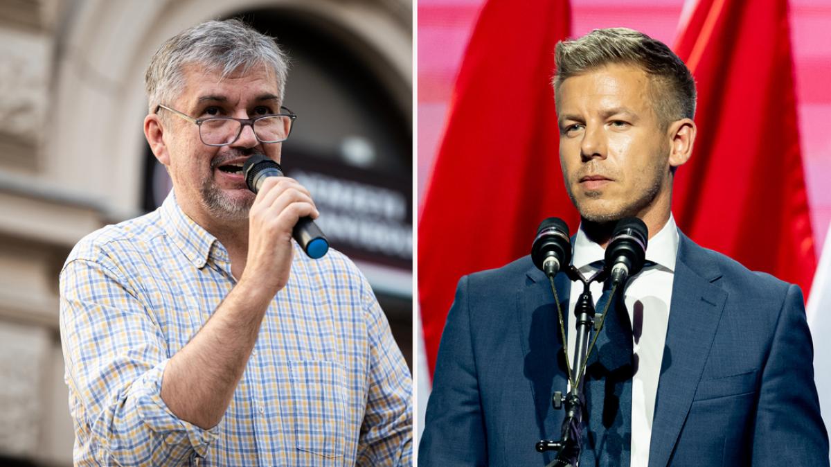 Hadházy: A Tisza Párt a Fidesz szekerét tolja, egyedül indulok a választáson