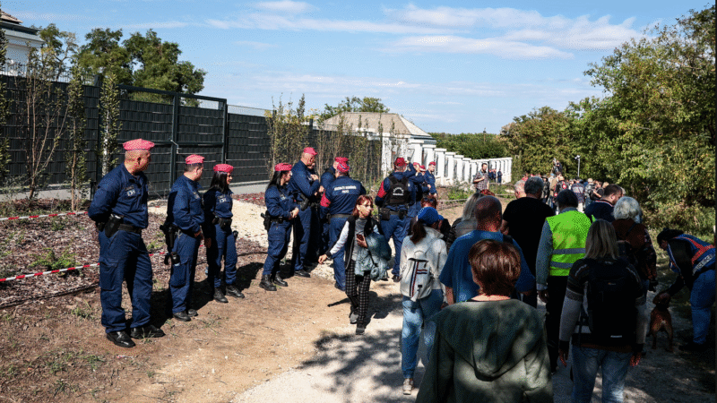 A zebrák elárasztották Hatvanpusztát