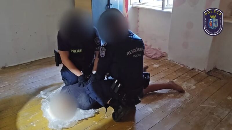 Kristályozott a miskei gyermekgyilkosság gyanúsítottja