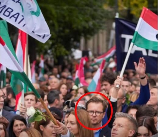 Magyar Péter egy lengyel EP-képviselővel vonult, aki szankciókat követel hazánk ellen