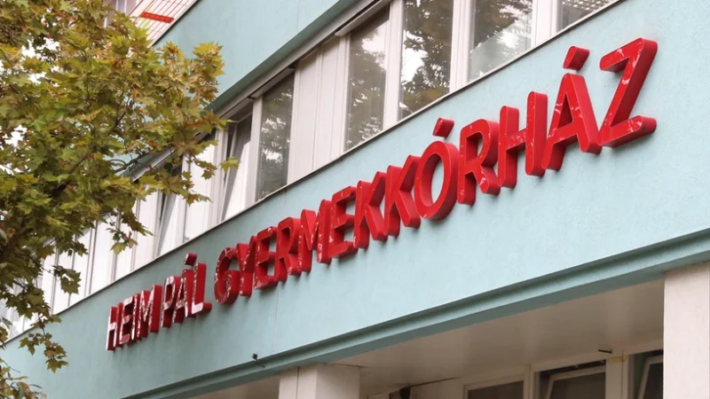 Tömeges ételmérgezés a budapesti óvodákban és iskolákban: eddig 47 gyerek került kórházba