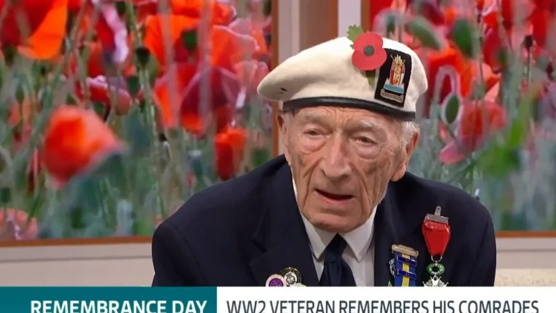 Második világháborús brit veterán: az áldozatunk nem érte meg!