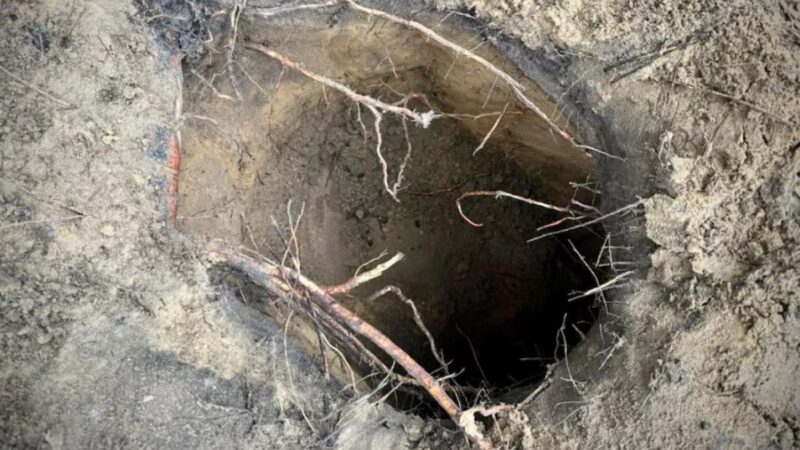 Több mint 180 migráns jutott be Lengyelországba a határkerítés alatt ásott alagúton át