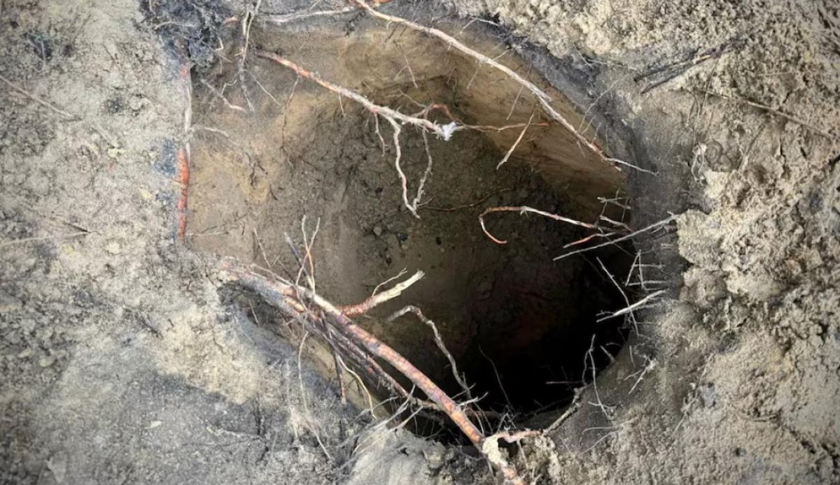 Több mint 180 migráns jutott be Lengyelországba a határkerítés alatt ásott alagúton át