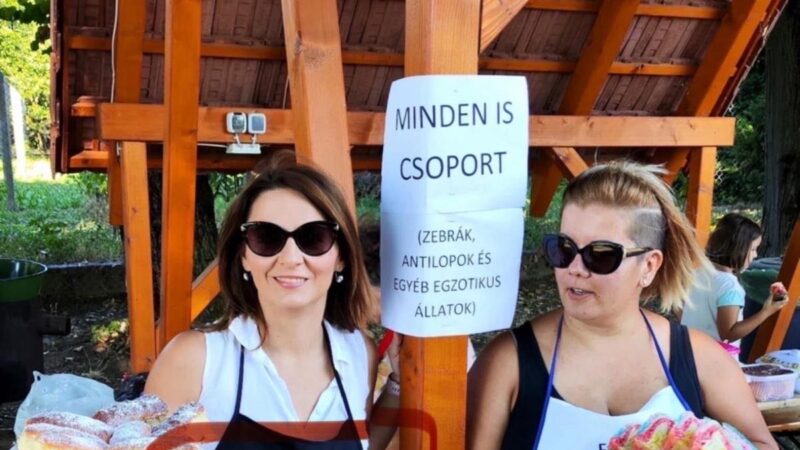 Hihetetlen: Olyan nárcisztikus Somogy egyik Tiszás jelöltje, már most Dr. Főnökasszonynak kell szólítani