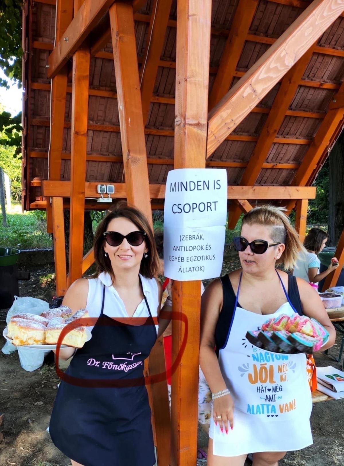 Hihetetlen: Olyan nárcisztikus Somogy egyik Tiszás jelöltje, már most Dr. Főnökasszonynak kell szólítani