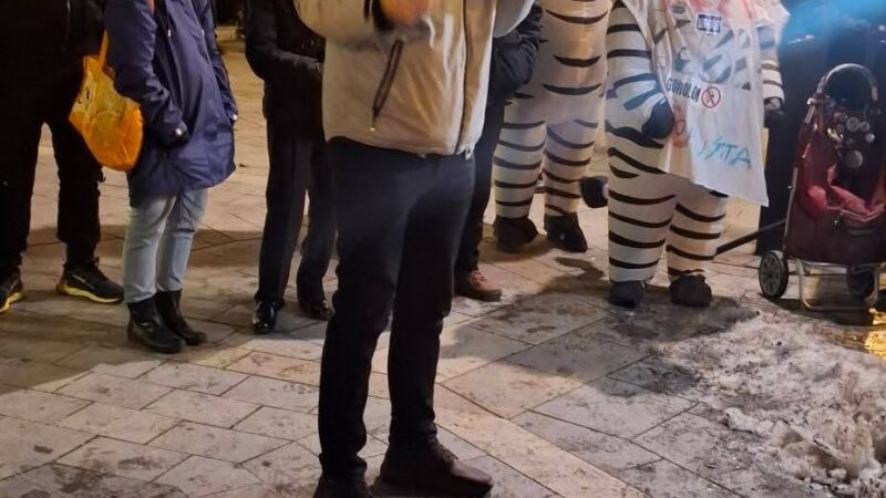 Ez megbolondult! Hadházy így szólt a tüntetőkhöz: Énekeljük el a Kossuth-nótát a zebrák emlékére, akiket Orbánék megettek majonézzel